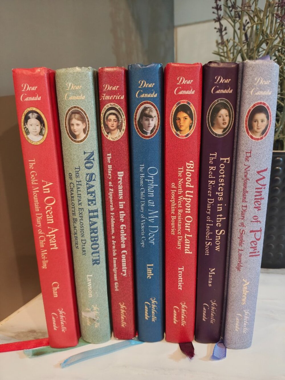 Dear America & Dear Canada Books Set of 7 Historical Fiction Diary Collection